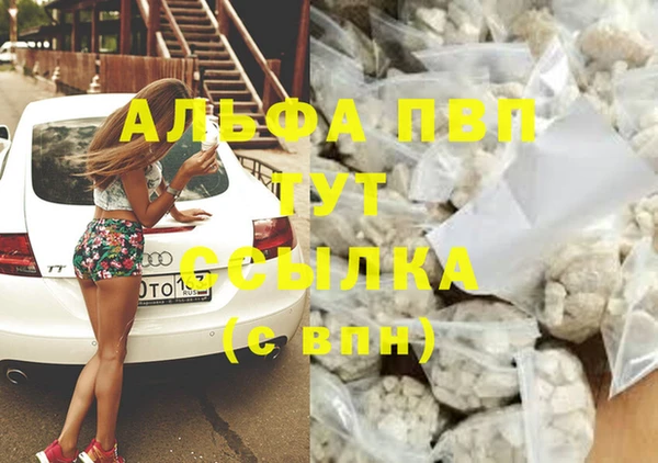 крисы Алексин