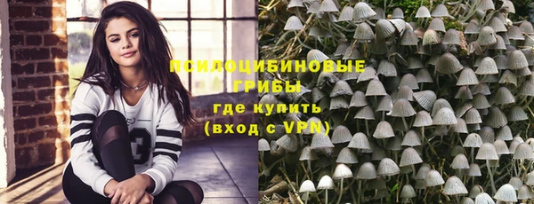 прущие крисы Алзамай