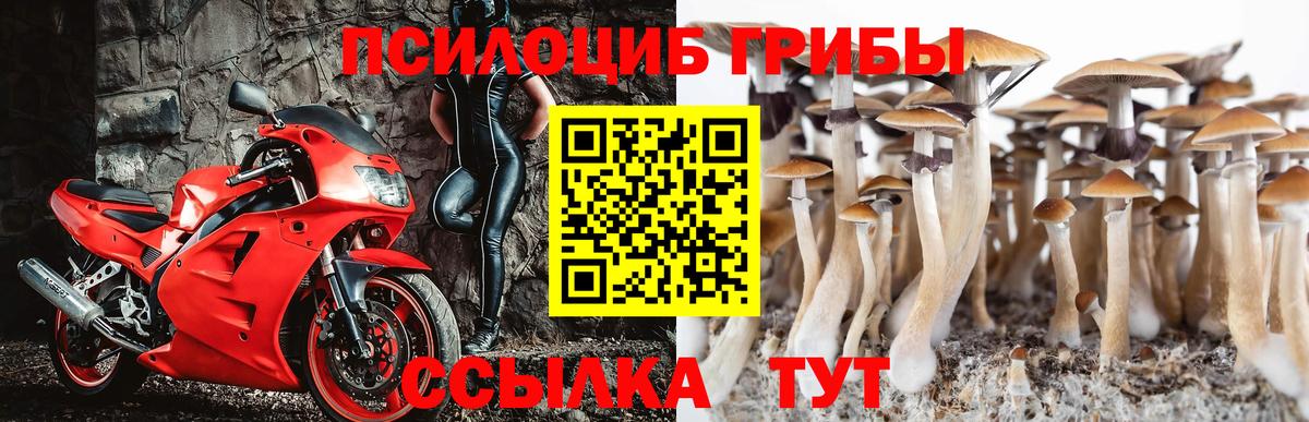 Псилоцибиновые грибы ЛСД  Галлюциногенные грибы прущие грибы  Вход с VPN  Темрюк 